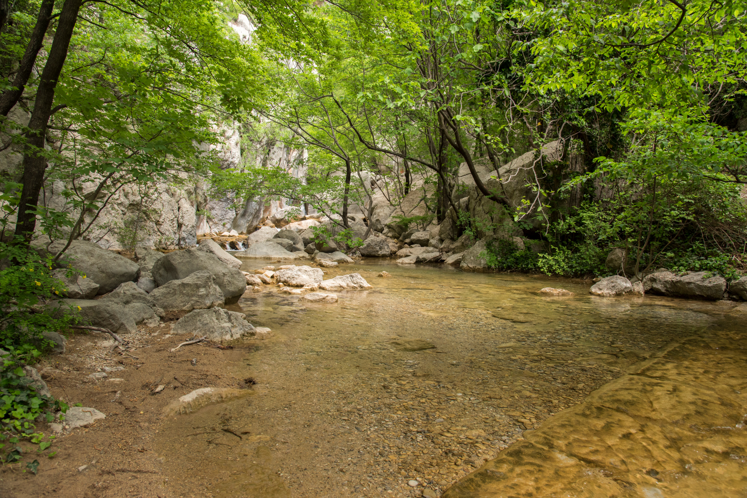 Paklenica_National_Park[1].webp